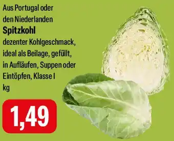 Feneberg Spitzkohl Angebot