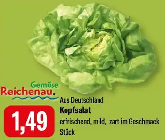 Feneberg Kopfsalat Angebot