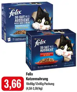 Feneberg Felix Katzennahrung Angebot