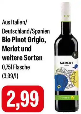 Feneberg Bio Pinot Grigio, Merlot und weitere Sorten Angebot