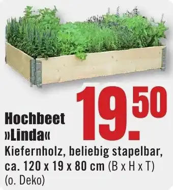 B1 Discount Baumarkt Hochbeet Linda Angebot