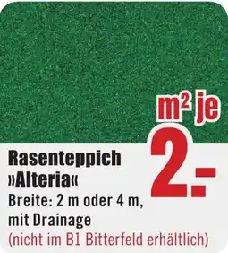 B1 Discount Baumarkt Rasenteppich Alteria Angebot