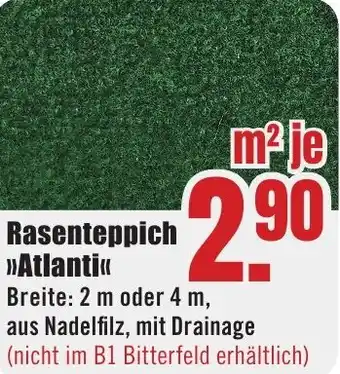 B1 Discount Baumarkt Rasenteppich Atlanti Angebot