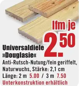 B1 Discount Baumarkt Universaldiele Douglasie Angebot