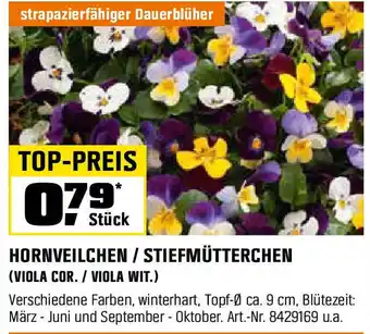 OBI HORNVEILCHEN / STIEFMÜTTERCHEN (VIOLA COR. / VIOLA WIT.) Angebot