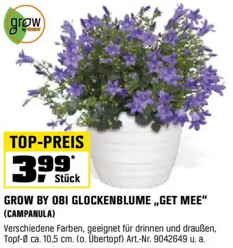 OBI GROW BY OBI GLOCKENBLUME,,GET MEE" (CAMPANULA) Angebot