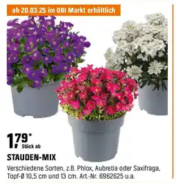 OBI STAUDEN-MIX Angebot