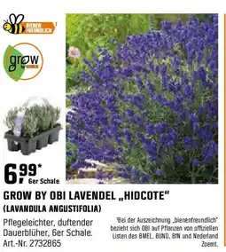 OBI GROW BY OBI LAVENDEL,,HIDCOTE" (LAVANDULA ANGUSTIFOLIA) Angebot