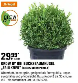 OBI GROW BY OBI BUCHSBAUMKUGEL ,,FAULKNER" (BUXUS MICROPHYLLA) Angebot