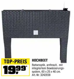 OBI HOCHBEET Angebot