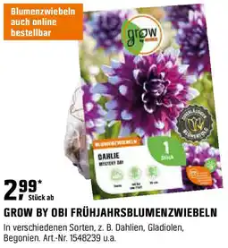 OBI GROW BY OBI FRÜHJAHRSBLUMENZWIEBELN Angebot