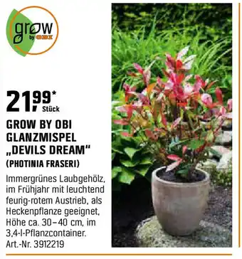 OBI GROW BY OBI GLANZMISPEL ,,DEVILS DREAM" (PHOTINIA FRASERI) Angebot