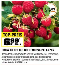 OBI GROW BY OBI BIO BEERENOBST-PFLANZEN Angebot