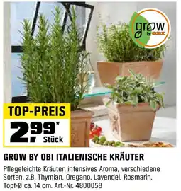 OBI GROW BY OBI ITALIENISCHE KRÄUTER Angebot