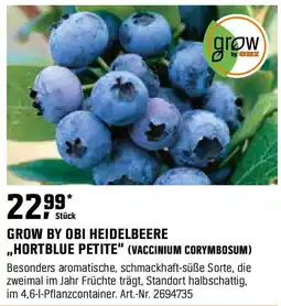 OBI GROW BY OBI HEIDELBEERE ,,HORTBLUE PETITE" (VACCINIUM CORYMBOSUM) Angebot