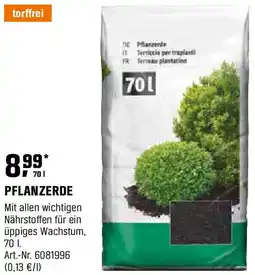 OBI PFLANZERDE Angebot