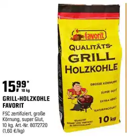 OBI FAVORIT GRILL HOLZKOHLE Angebot