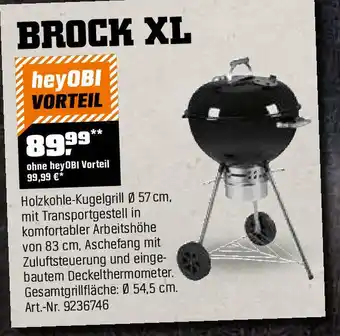 OBI JAMESTOWN GRILL BROCK XL Angebot