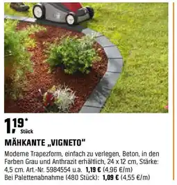 OBI MÄHKANTE,,VIGNETO" Angebot