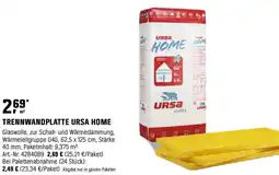 OBI TRENNWANDPLATTE URSA HOME Angebot