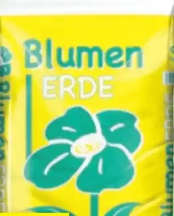 Thomas Philipps Blumenerde Angebot