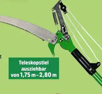 Thomas Philipps Astschneide-Set Angebot