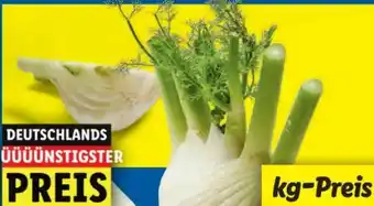 Lidl Fenchel Angebot