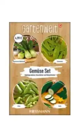 Rossmann Gartenwelt Blumengarten Saatmischung Angebot