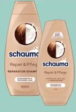 Rossmann Schwarzkopf Schauma Shampoo Angebot