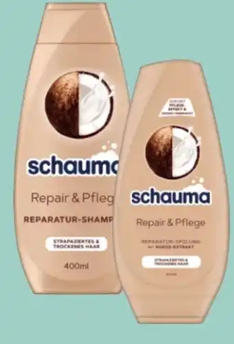 Rossmann Schwarzkopf Schauma Shampoo Angebot