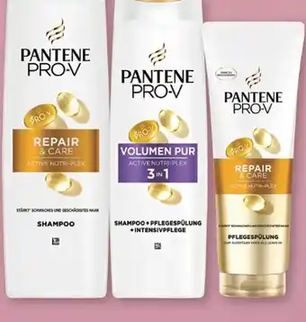 Rossmann Pantene Pro-V 3in1 Shampoo Angebot