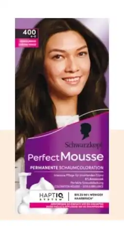 Rossmann Schwarzkopf Perfect Mousse Schaum Coloration Angebot