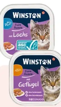 Rossmann Winston Katzen Feine Pastete Angebot