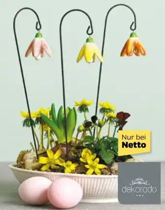 NETTO Dekorado Blütenglocken Angebot