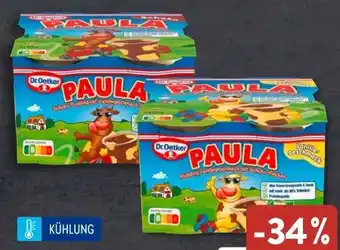 Aldi Süd Dr. Oetker Paula Vanille-Pudding Minis Angebot