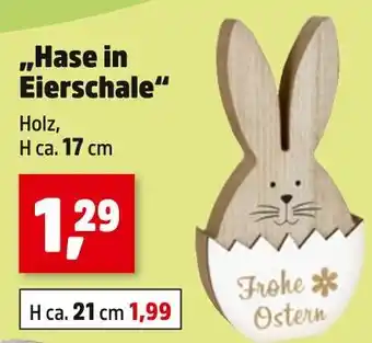 Thomas Philipps Hase in eierschale Angebot