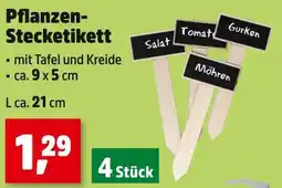 Thomas Philipps Pflanzen-stecketikett Angebot