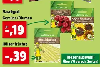 Thomas Philipps Gärtner saatgut Angebot