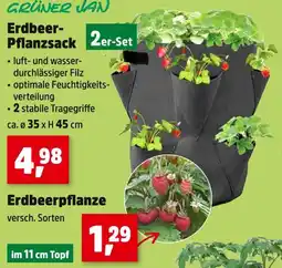 Thomas Philipps Grüner jan erdbeer-pflanzsack oder erdbeerpflanze Angebot