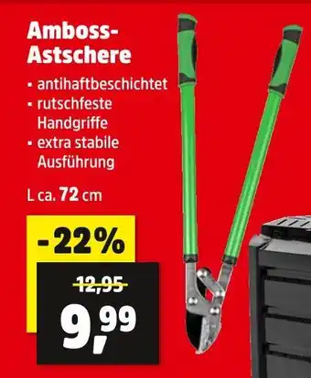 Thomas Philipps Amboss-astschere Angebot