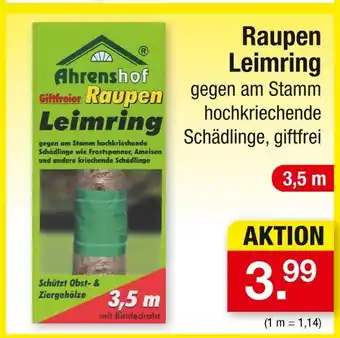 Zimmermann Ahrenshof raupen leimring Angebot