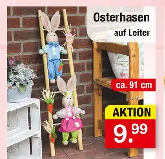 Zimmermann Osterhasen auf leiter Angebot