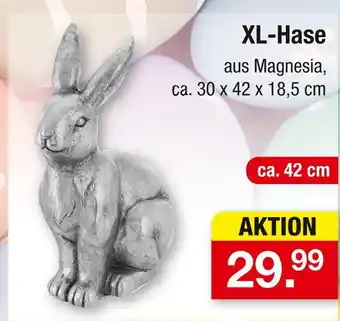 Zimmermann Xl-hase Angebot