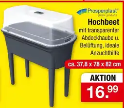 Zimmermann Prosperplast hochbeet Angebot