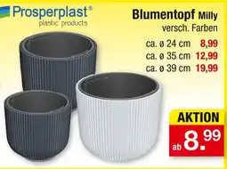 Zimmermann Prosperplast blumentopf milly Angebot