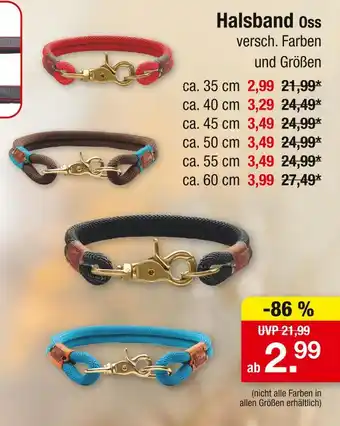 Zimmermann Oss halsband Angebot