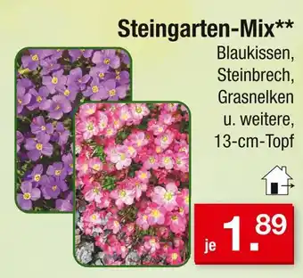 Zimmermann Steingarten-mix Angebot