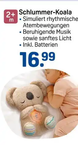 Rossmann Schlummer-koala Angebot