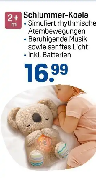 Rossmann Schlummer-koala Angebot