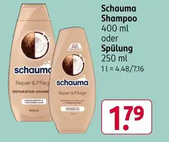 Rossmann Schauma shampoo oder spülung Angebot